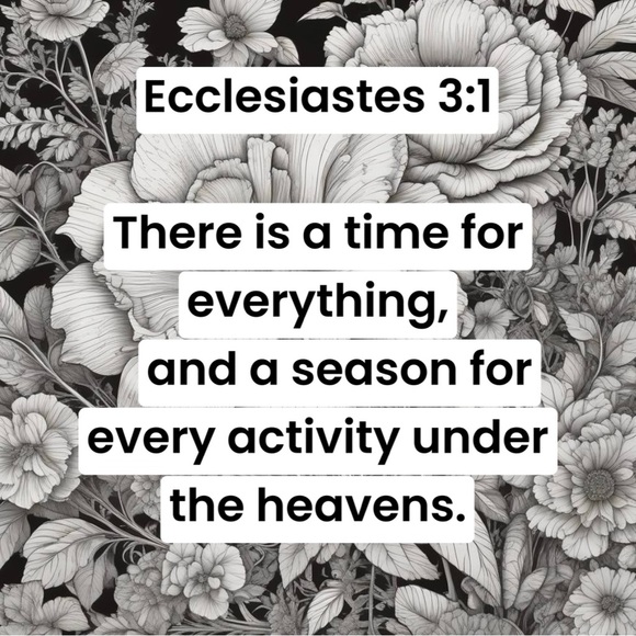 Meet your posher, Amanda - Picture 3 of 6